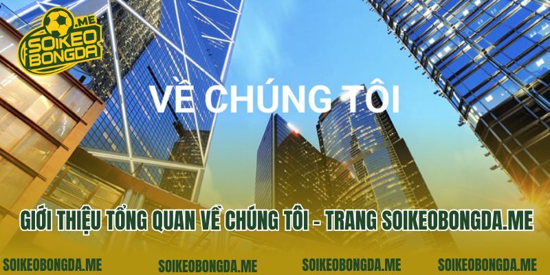 Giới thiệu tổng quan về chúng tôi - trang soikeo360.com