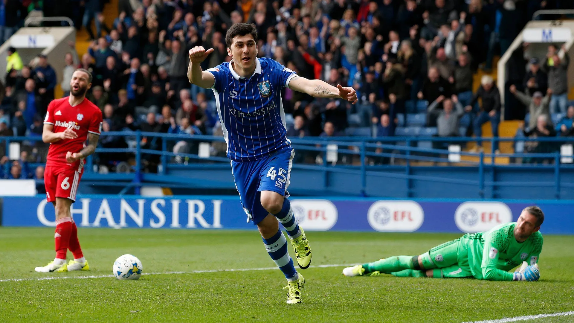Fernando Forestieri thi đấu cho Sheffield Wednesday tại sân Hillsborough