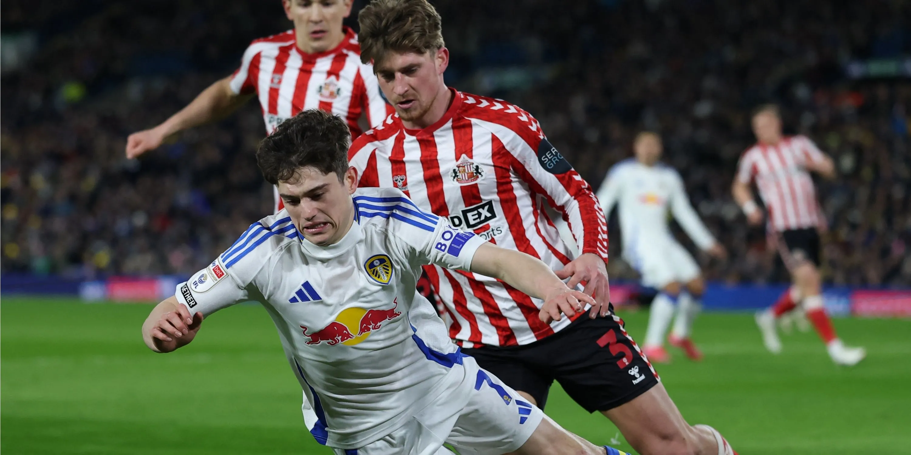 Hậu vệ trái Dennis Cirkin trong màu áo Sunderland