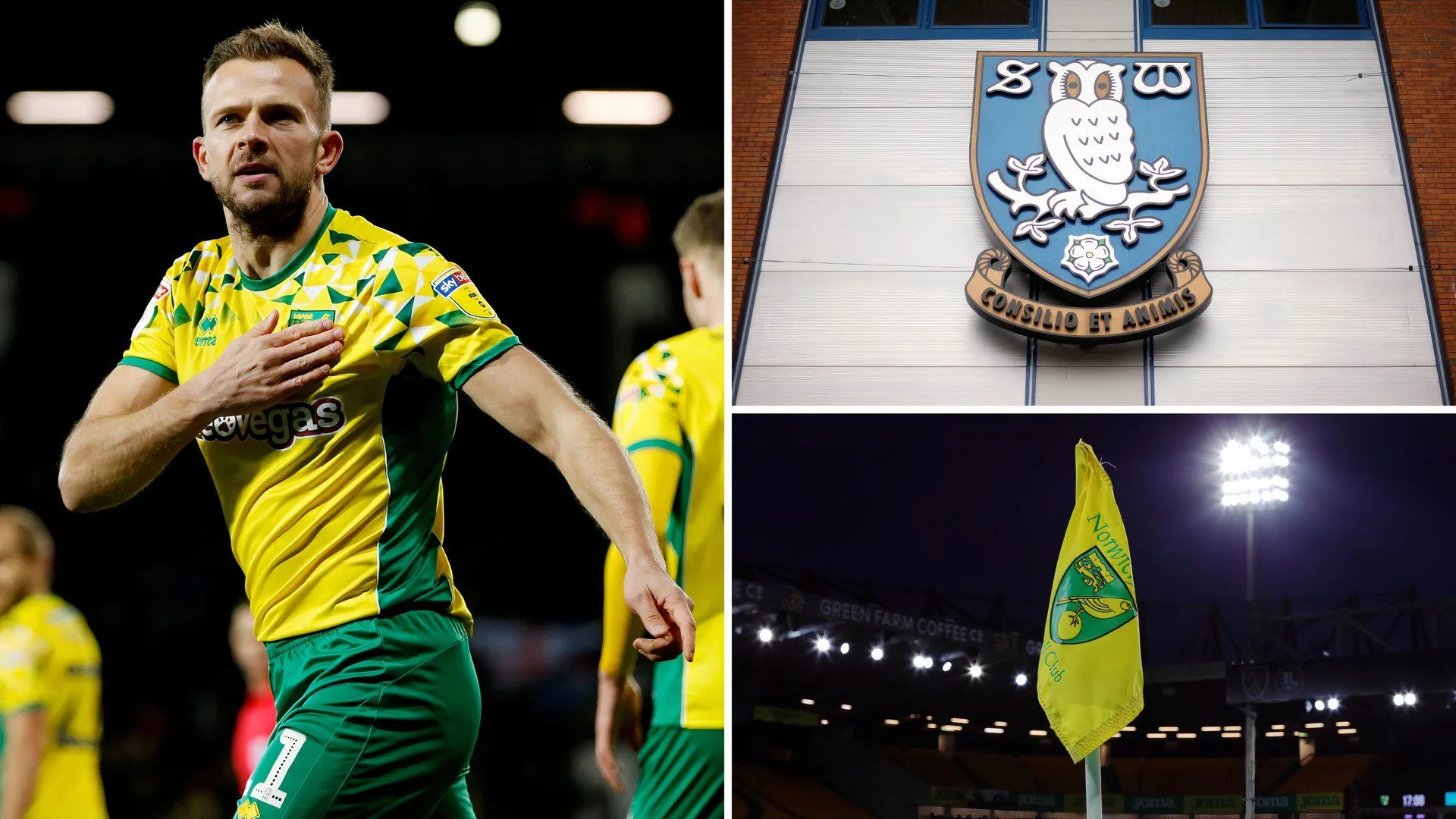 Jordan Rhodes trong trận đấu giữa Sheffield Wednesday và Norwich City