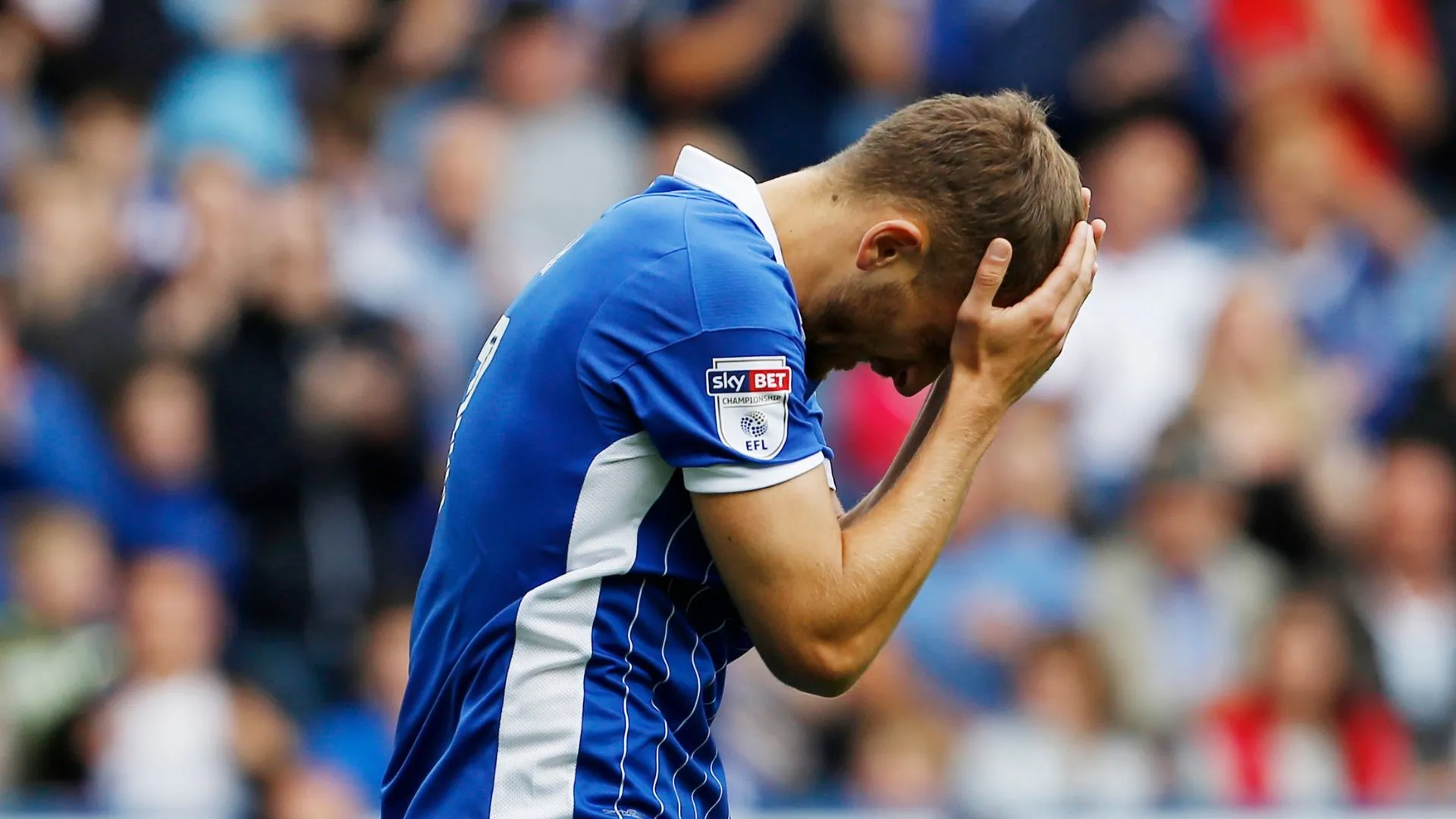 Tiền vệ Almen Abdi khi còn khoác áo Sheffield Wednesday
