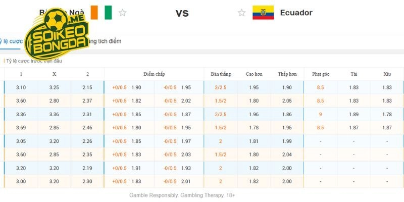 Nhận định kèo Bờ Biển Ngà vs Ecuador trong giải World Cup 2026