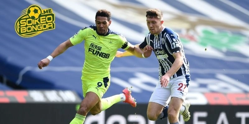 Phân tích điểm rơi phong độ của Newcastle vs West Brom trước giờ G
