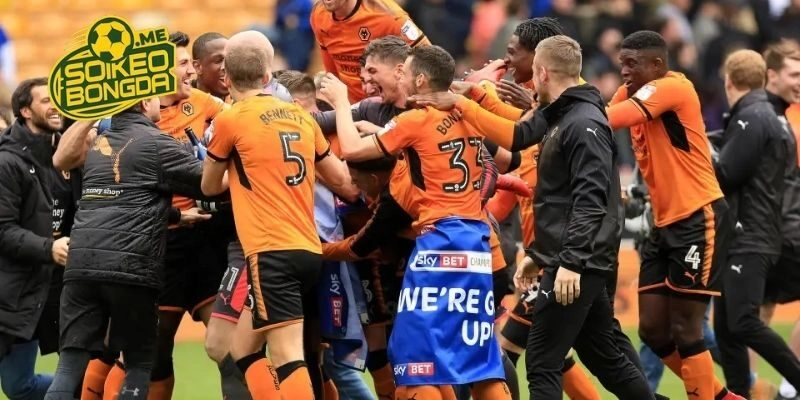 Đánh giá phong độ gần đây của Sheffield Wednesday vs Wolves